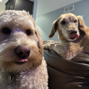 Fundraising Page: Karen Stone